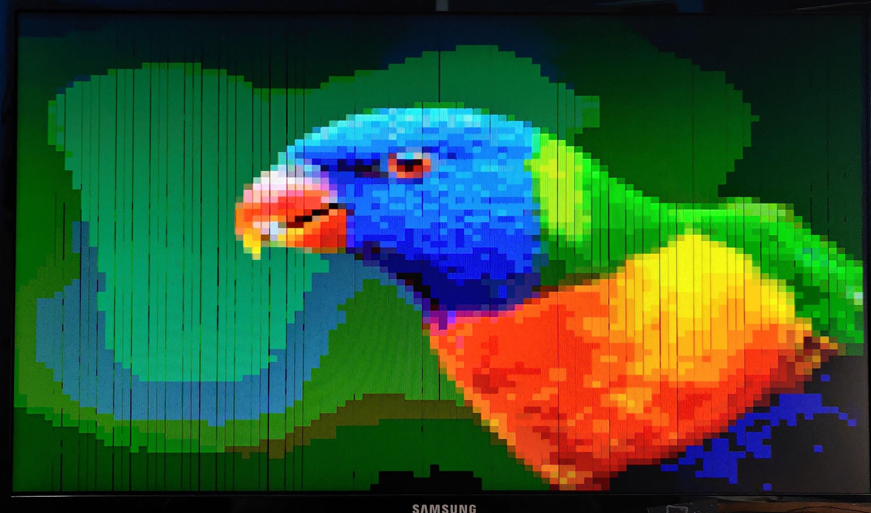 Bird Image Result